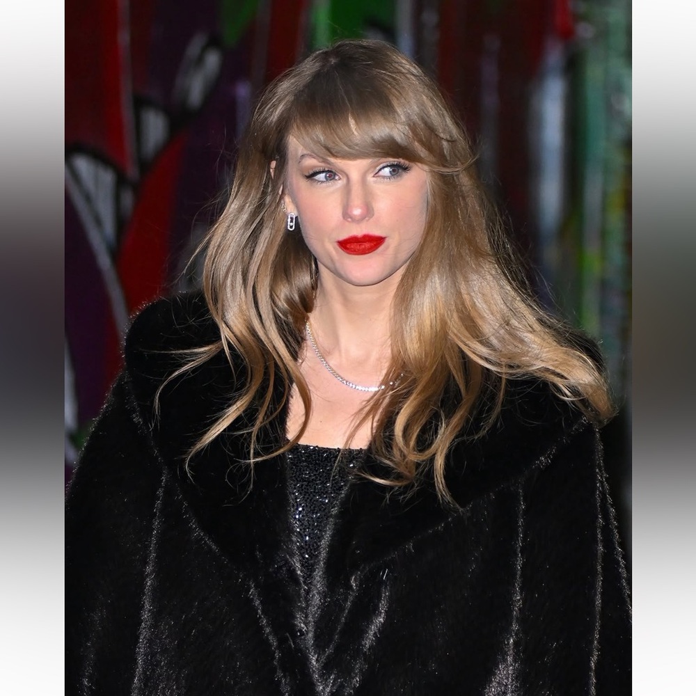 Anine Bing Faux Fur Hilary Jacket Coat in Black and Brown 0101 - Picture 2 of 16